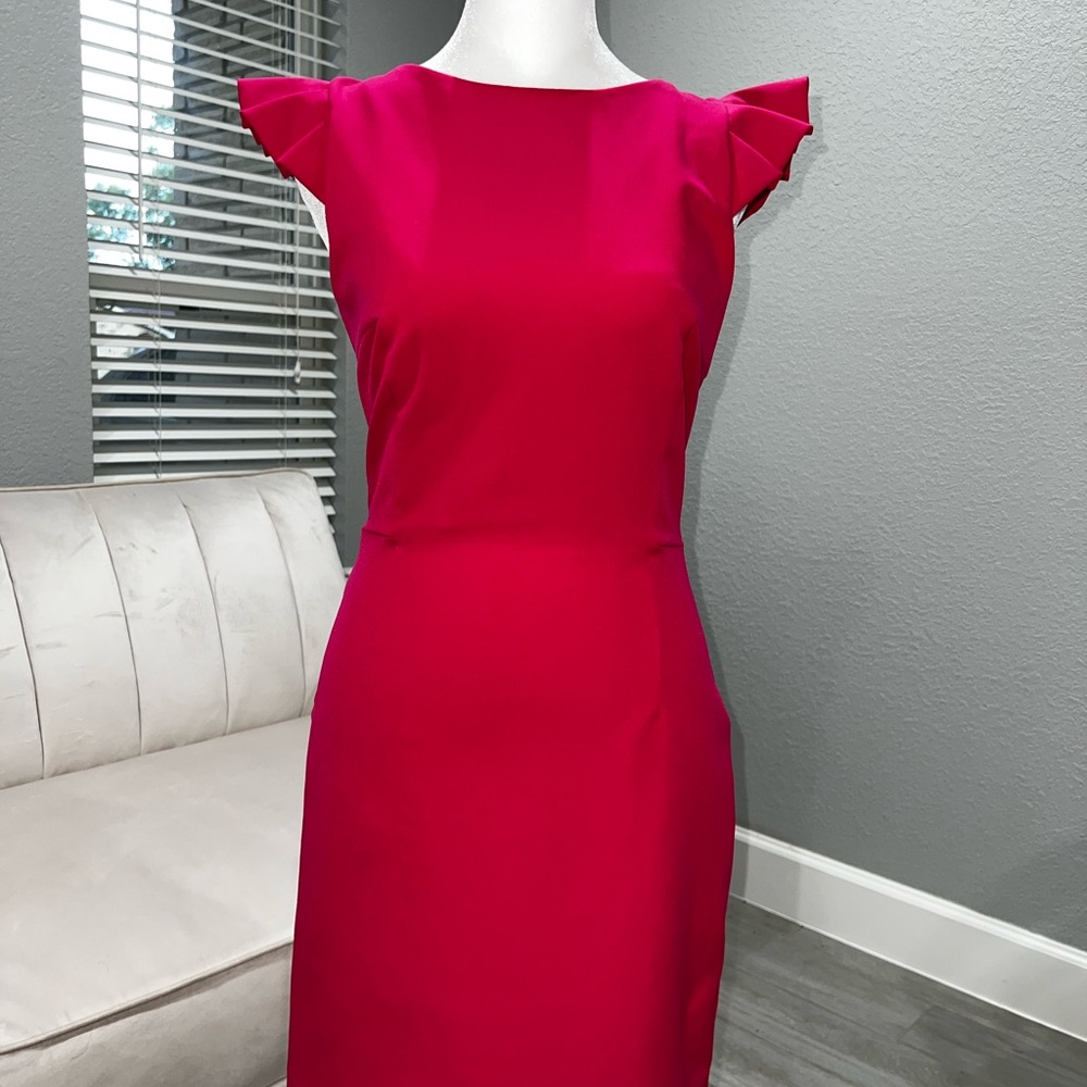 Zara Pink Dress USA Small